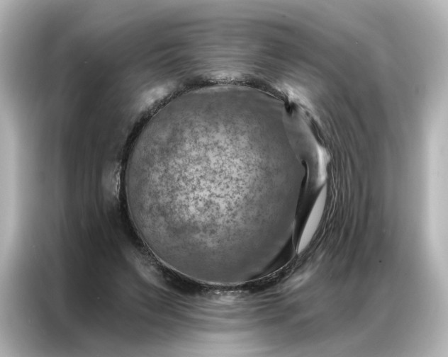 X0000087000495200704301400