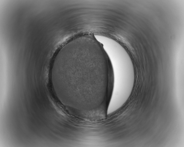 X0000087000496200704301400