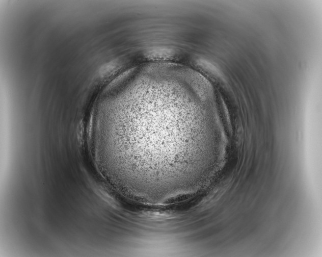 X0000087000498200704301400