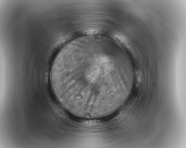 X0000087000499200704301400