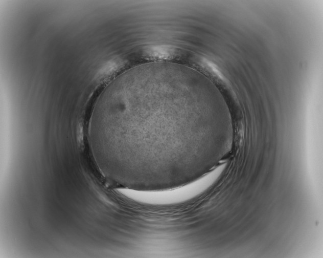 X0000087000500200704301400