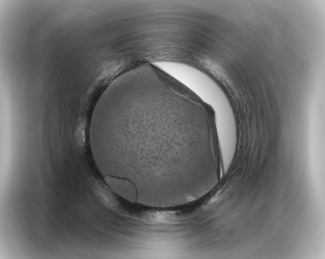 X0000087000501200704301400