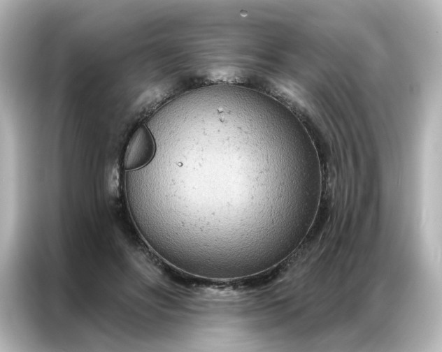 X0000087000502200704301400