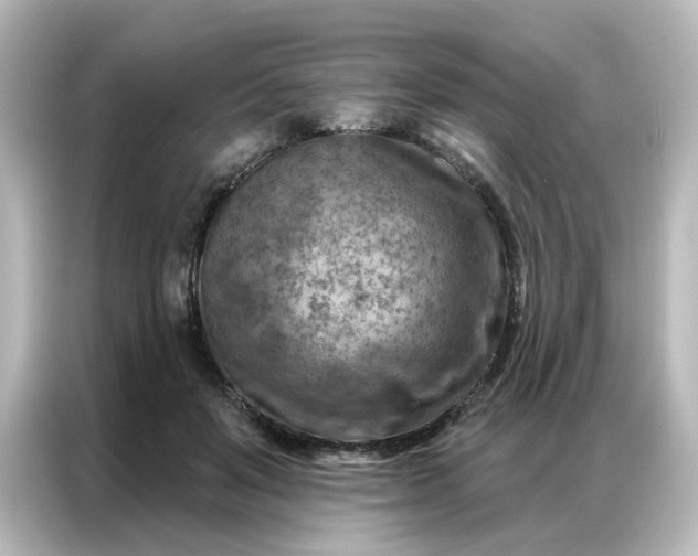 X0000087000503200704301400