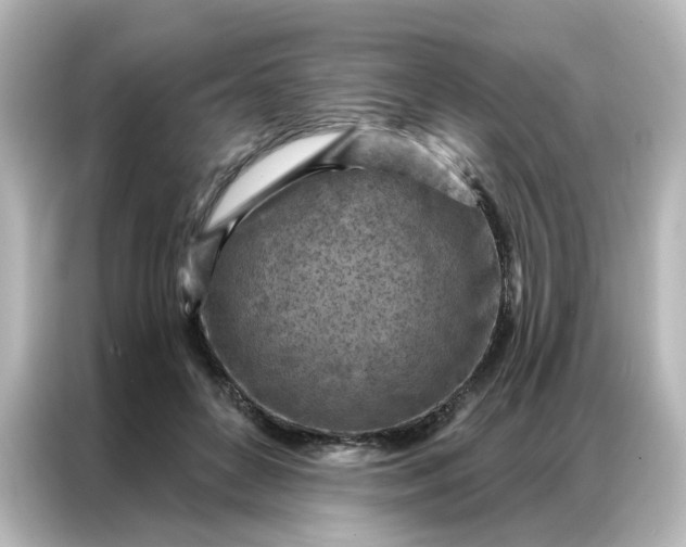 X0000087000504200704301400