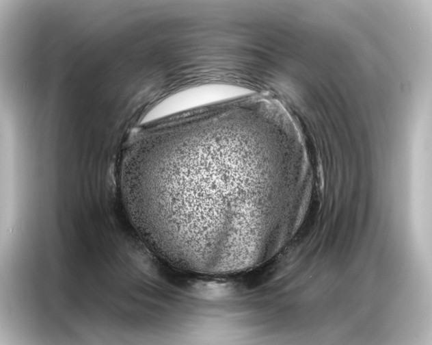 X0000087000506200704301400