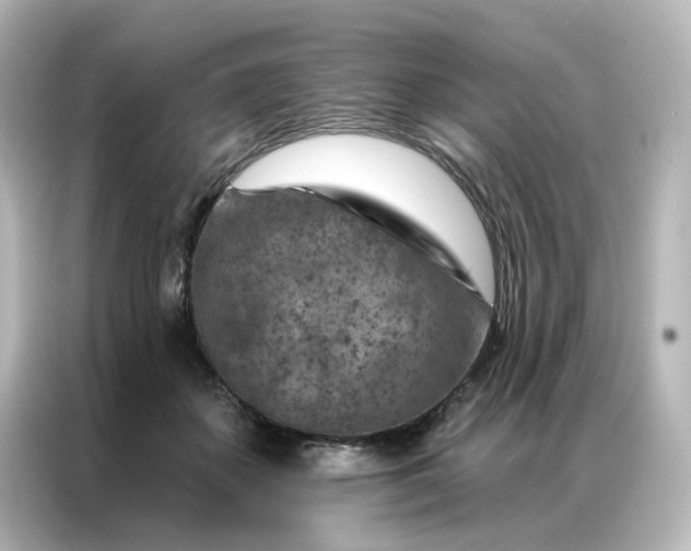 X0000087000507200704301400