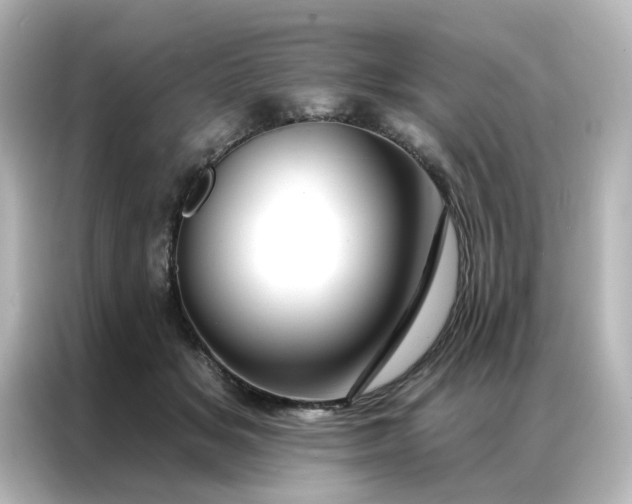 X0000087000509200704301400