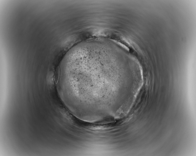 X0000087000513200704301400