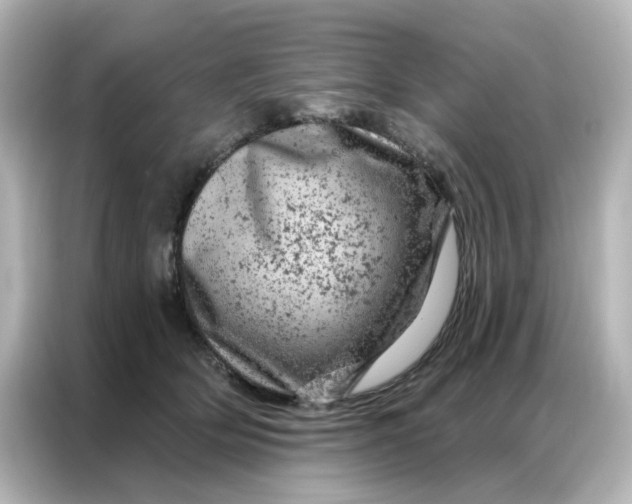 X0000087000514200704301400