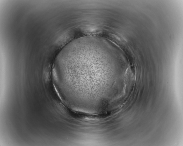 X0000087000515200704301400
