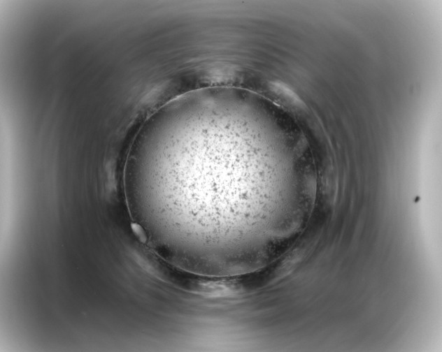 X0000087000516200704301400