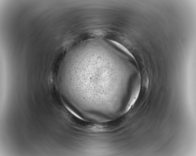 X0000087000518200704301400