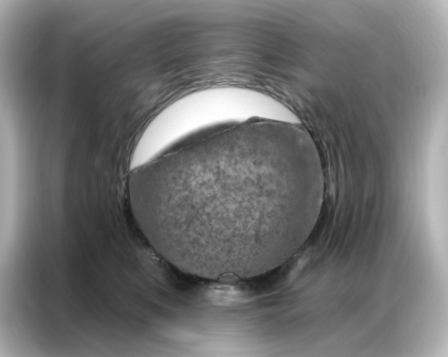 X0000087000519200704301400