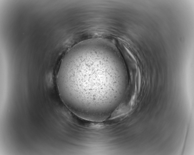 X0000087000520200704301400