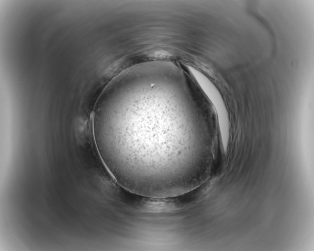 X0000087000521200704301400