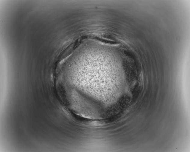 X0000087000522200704301400