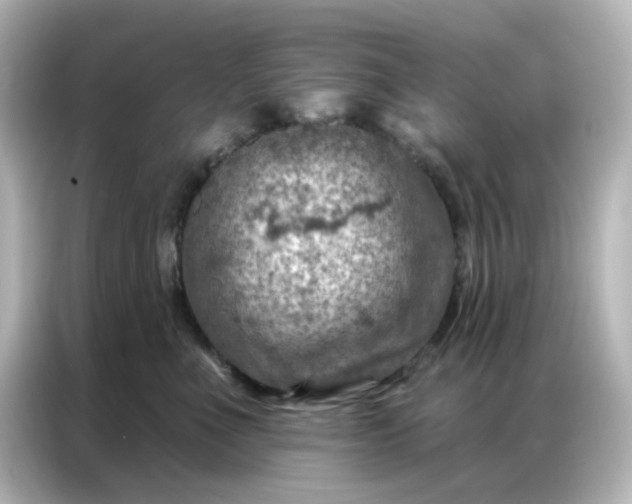 X0000087000523200704301400