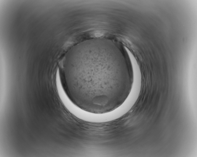 X0000087000524200704301400