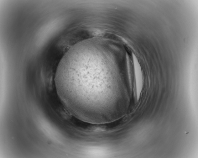 X0000087000525200704301400
