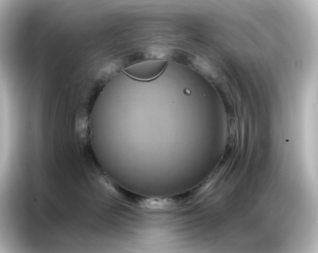 X0000087000526200704301400
