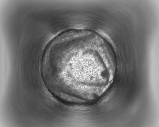 X0000087000529200704301359