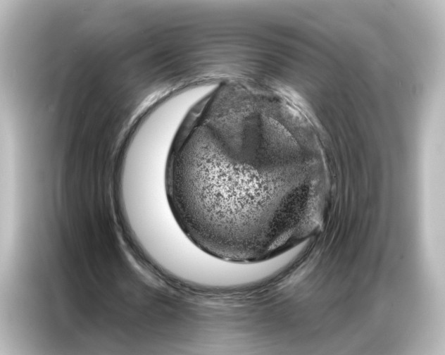 X0000087000530200704301359