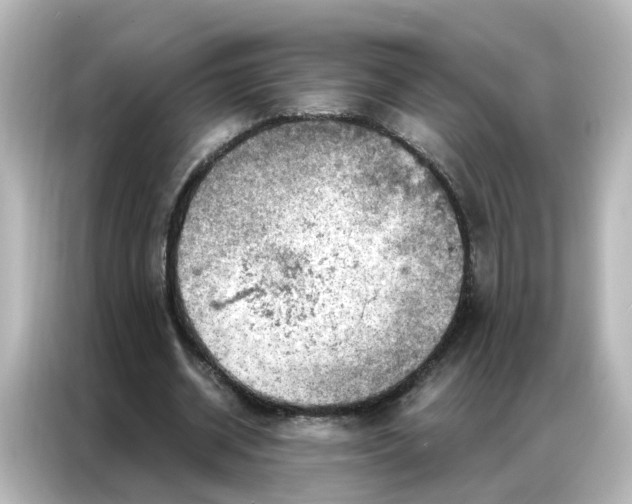 X0000087000534200704301359