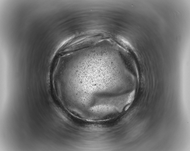 X0000087000535200704301359