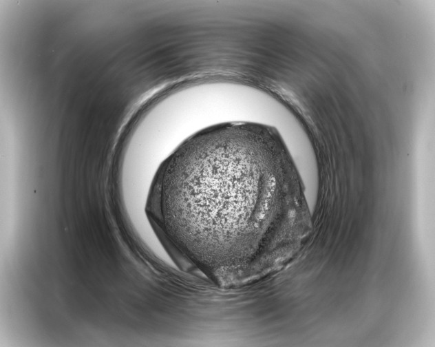 X0000087000536200704301359