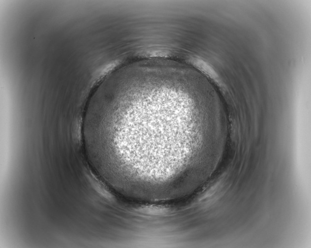 X0000087000537200704301400