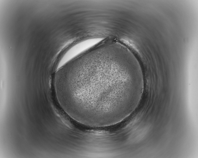 X0000087000539200704301400