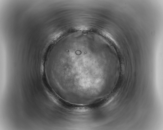 X0000087000541200704301400