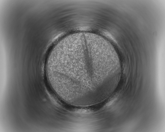 X0000087000542200704301400
