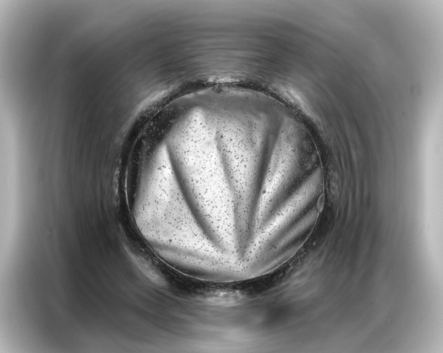 X0000087000543200704301400