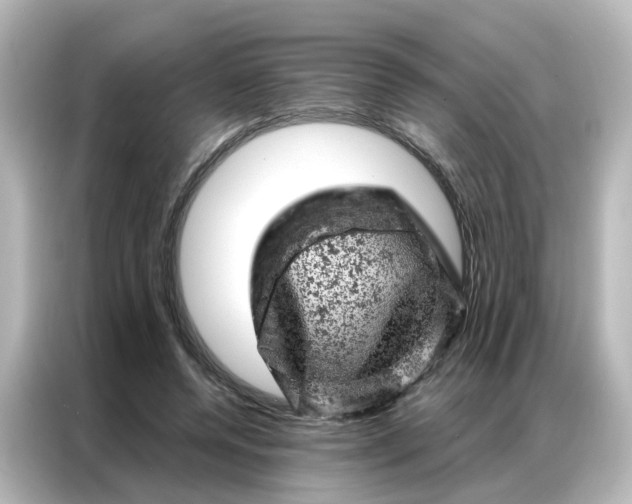 X0000087000544200704301400