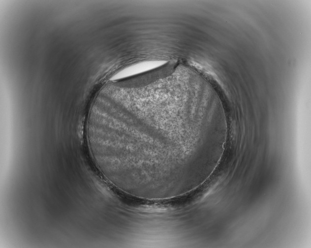 X0000087000545200704301400