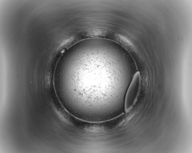 X0000087000546200704301400