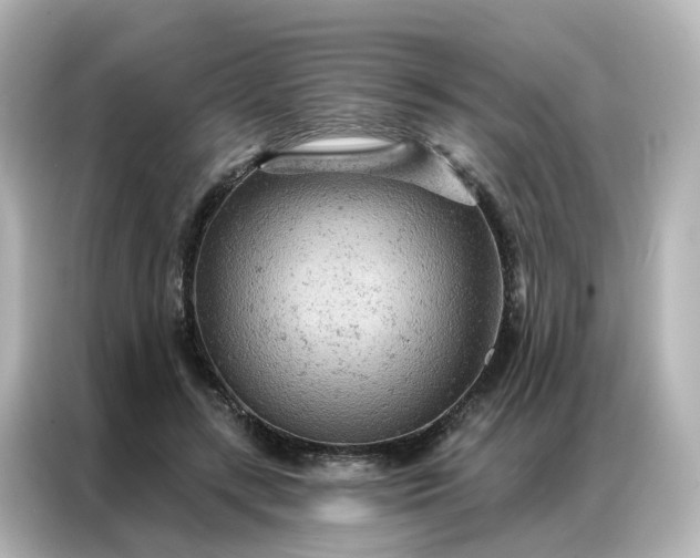X0000087000547200704301400