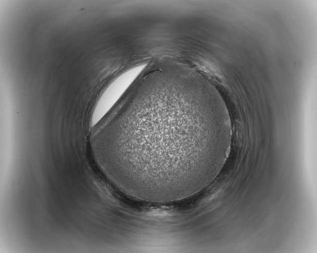 X0000087000550200704301400