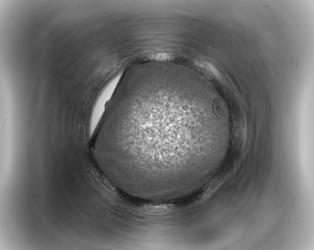 X0000087000553200704301400