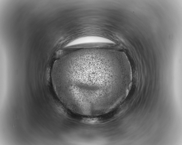X0000087000554200704301400