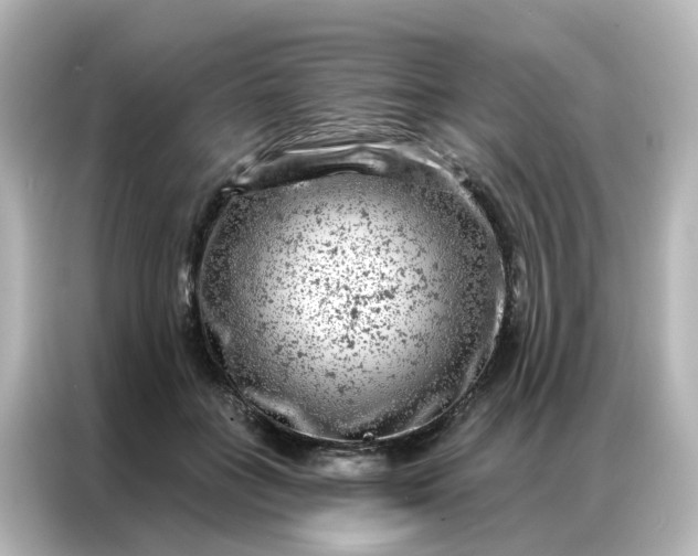 X0000087000555200704301400