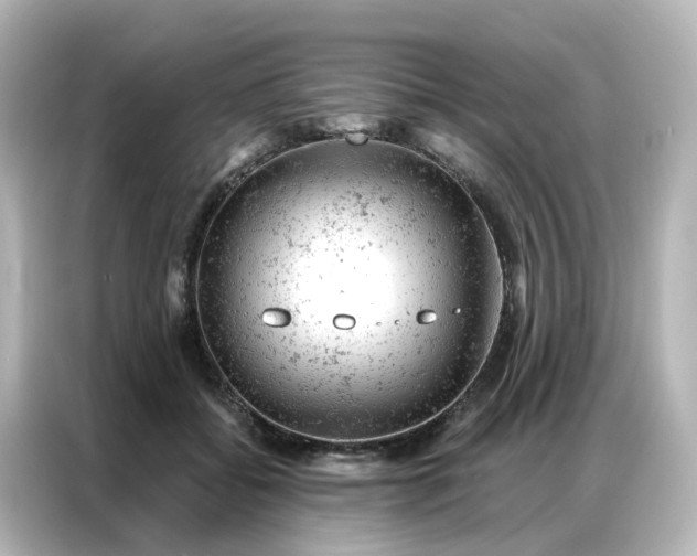 X0000087000556200704301400