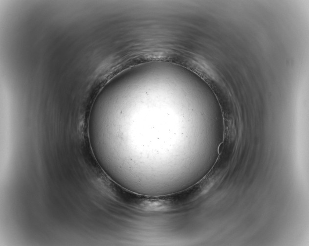 X0000087000557200704301400