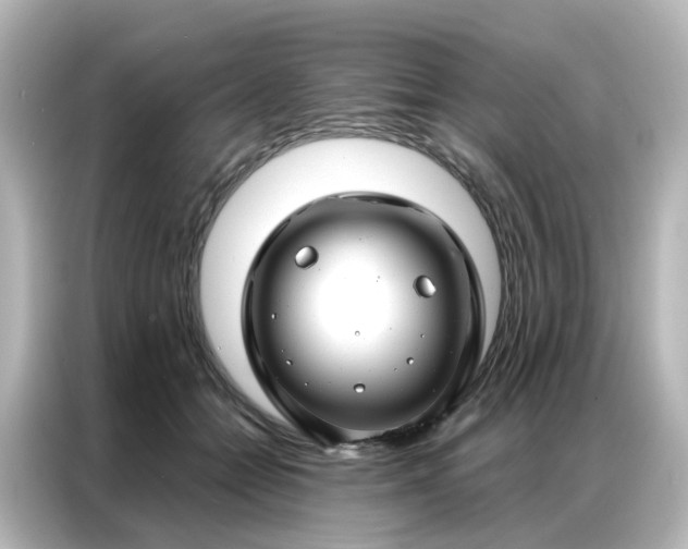 X0000087000558200704301400