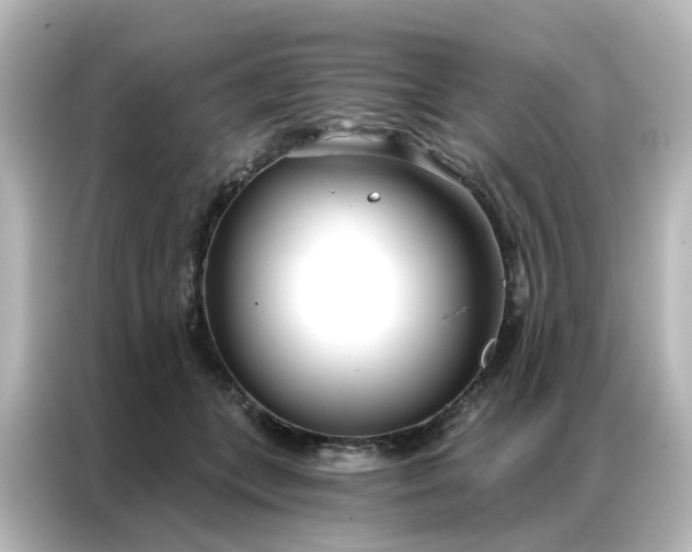 X0000087000559200704301400