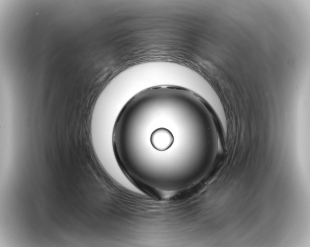 X0000087000560200704301400