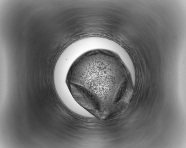 X0000087000562200704301400