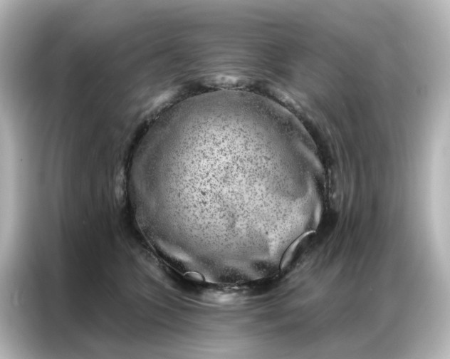 X0000087000563200704301400